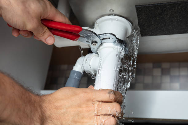 Best Flood restoration services  in Northeast Ithaca, NY