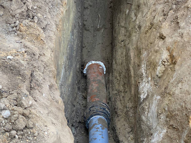 Best Local water damage restoration  in Northeast Ithaca, NY
