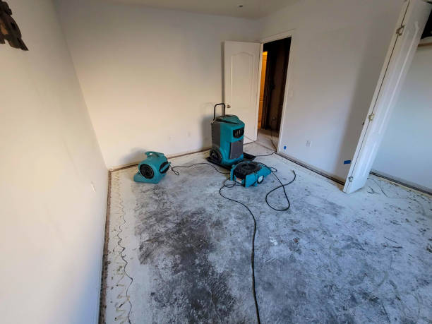 Best Water damage restoration near me  in Northeast Ithaca, NY