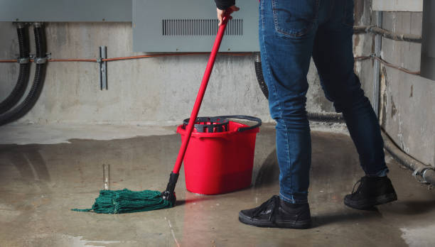 Best Sewage cleanup and water damage restoration  in Northeast Ithaca, NY