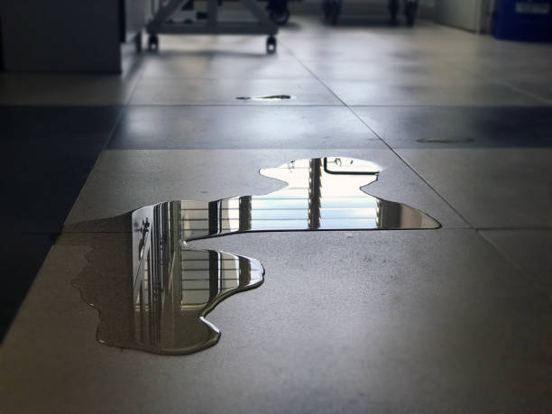Best Water damage restoration near me  in Northeast Ithaca, NY