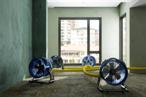 Best 24/7 water damage repair  in Northeast Ithaca, NY