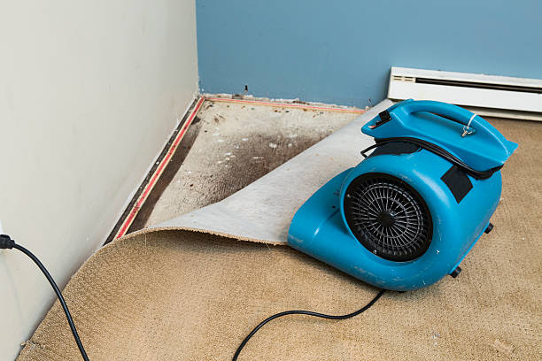 Best Ceiling water damage repair  in Northeast Ithaca, NY